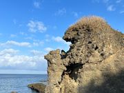 ホノぶーさんの長磯海岸の投稿写真1