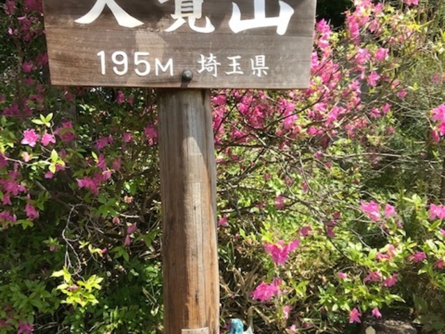天覧山頂上_天覧山