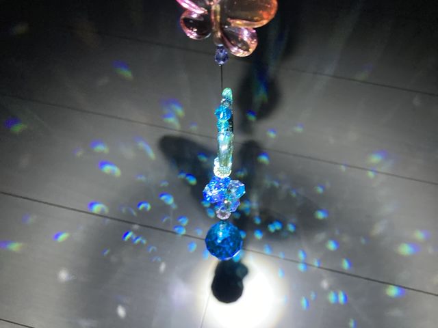 光を当てると更に綺麗です_輝暉