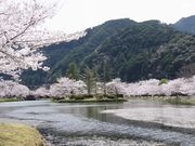 keinさんの下北山スポーツ公園の投稿写真1