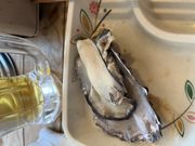 akikoさんの猿猴橋 浜けん 広島駅南口の投稿写真1