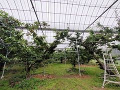 masaさんのさくらん坊の原農園への投稿写真5