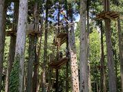 リンダさんのフォレストアドベンチャー・広島の投稿写真2