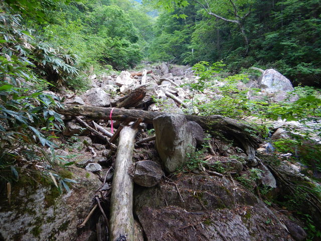 沢沿いの道はかなり荒れてる_有明山