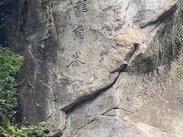 天龍ライン下り_天龍ライン下り