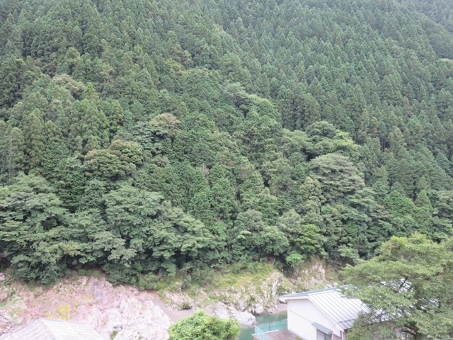 大歩危温泉 サンリバー大歩危