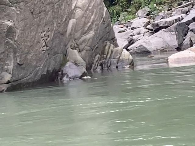 天龍ライン下り_天龍ライン下り