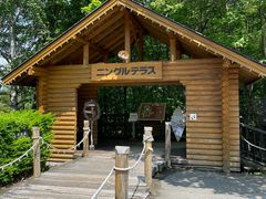 はるちんさんのショッピングロード「ニングルテラス」への投稿写真1