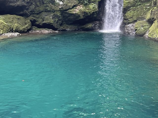 神秘的なにこ渕です。お昼ぐらいまでがおすすめ時間です。_にこ淵