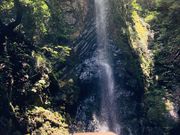 やきやきさんの川原の白滝の投稿写真1