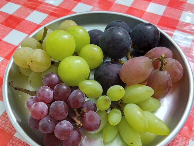 試食_甲楽園