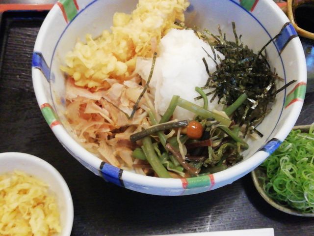 えび天おろし_しなの庵