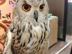 みうさんのアクアフォレスト -水の森-への投稿写真1