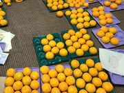 かきおさんの青木農園の投稿写真8