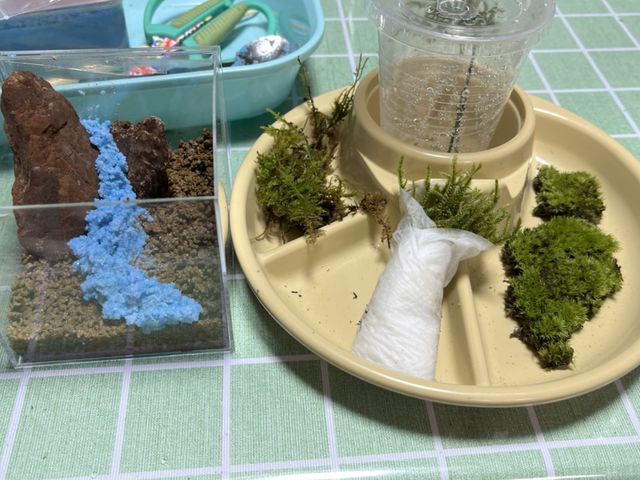 土台作り、ここでセンスが問われる…?_苔テラリウムワークショップいずはら
