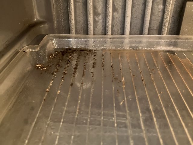 タカッチ43さんの三田市野外活動センターの投稿写真1