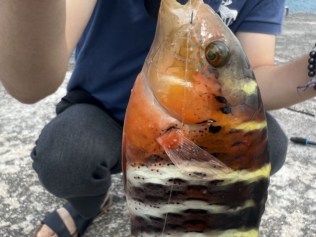 釣れた魚さん(^^)_宮古島ひとときさんぽ