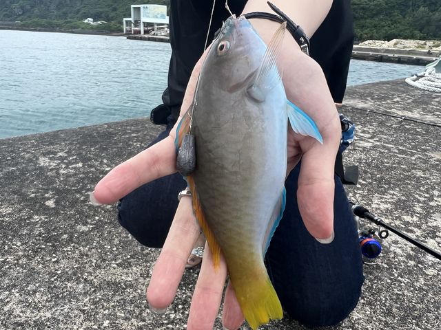 沖縄っぽい色してます!_宮古島ひとときさんぽ
