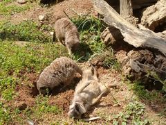 姫路セントラルパークの写真2