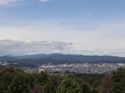 まりもさんの桜山展望台の投稿写真1