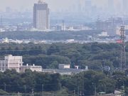 まりもさんの桜山展望台の投稿写真2