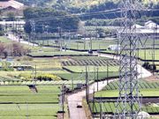 まりもさんの桜山展望台の投稿写真3