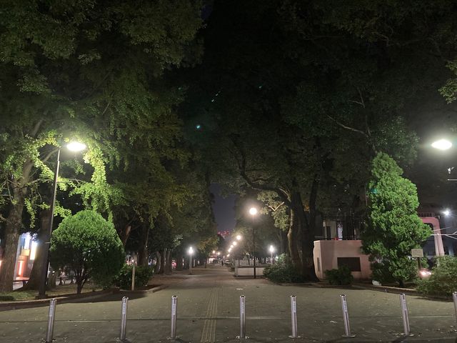 大通り公園_大通り公園