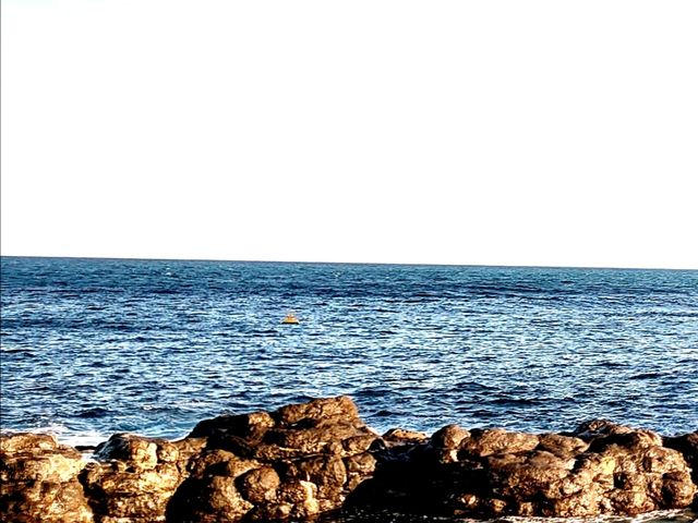 五浦海岸_五浦海岸