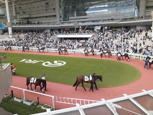 競馬場にて_阪神競馬場