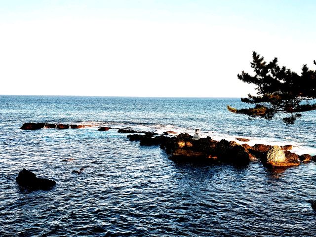 五浦海岸_五浦海岸