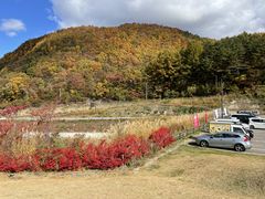 7DICEさんの道の駅 しもごうへの投稿写真1