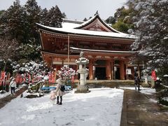 トシさんのオーミマリン彦根港への投稿写真5