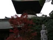 あきさんの立江寺 多宝塔の投稿写真1