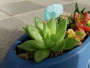 こむさんのしいな遊海くらぶの投稿写真2