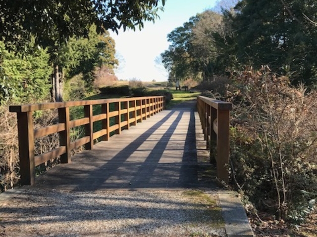 良い意味で整備されています_河村城址歴史公園