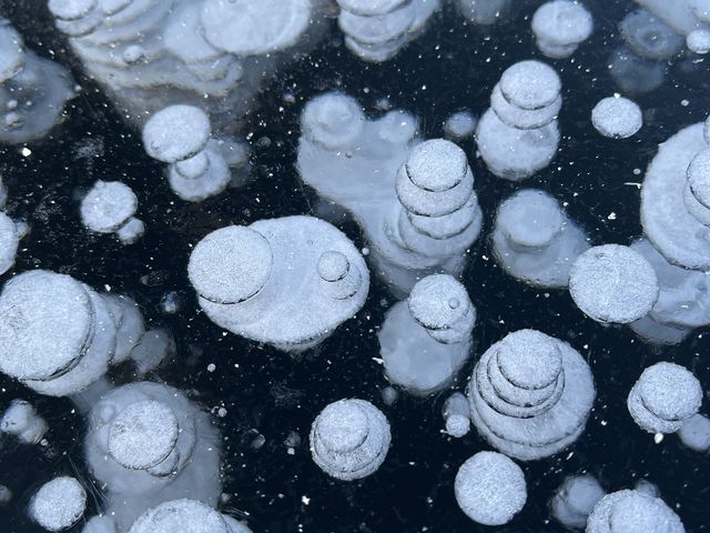 雪だるまバブル_ガイドのお店 イ・モシリ