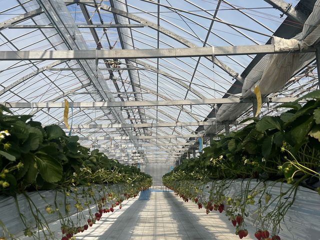 広くて綺麗な施設内_AGRICIA