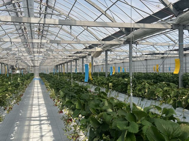 広くて綺麗な施設内_AGRICIA