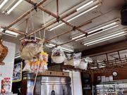 めぇちゃんさんの東海ひものの投稿写真1