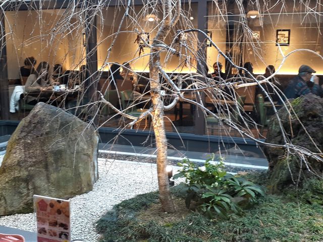 中庭には桜の木が植えられています。_桜珈琲 河内長野店