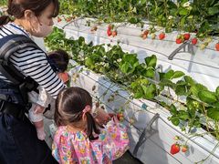 きみさんの花立山ファームへの投稿写真1