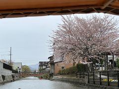 ちっちさんのぐるっと松江 堀川めぐりへの投稿写真1
