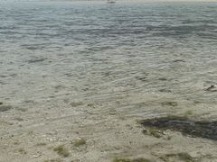 yuさんのコンドイビーチへの投稿写真1