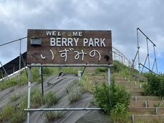 BerryParkいずみのの写真1