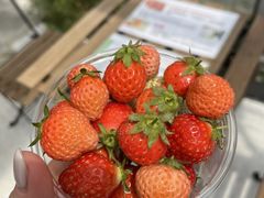 BerryParkいずみのの写真2