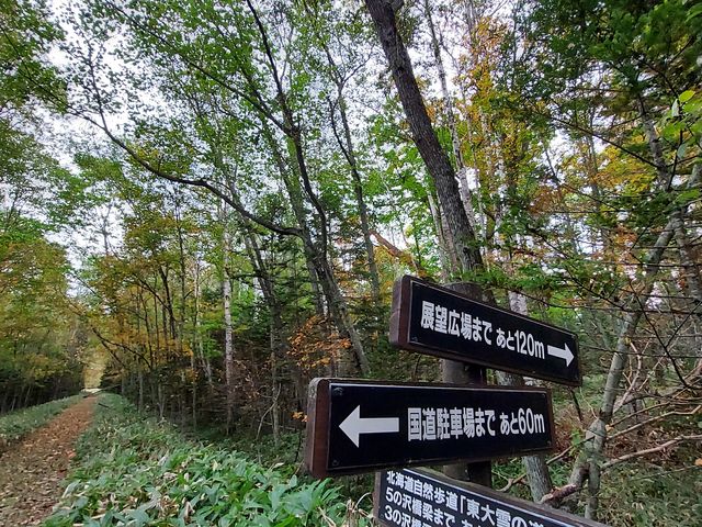 熊よけ鈴を持って、私は、大きな声で歌いながら行きました_糠平舘観光ホテル