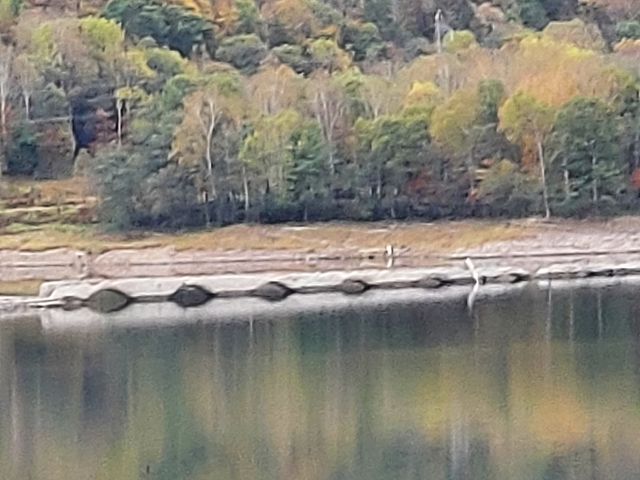 3度訪れてますが、10月でもこれくらい見えました。_糠平舘観光ホテル