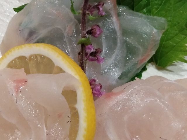 桜鯛_口々 くちぐち