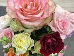 杉本ばら園の写真1