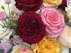 杉本ばら園の写真2